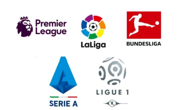 视频中的精 视频中的精